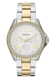 Fossil Cecile White Dial Two Tone Steel Strap Watch for Women - AM4543