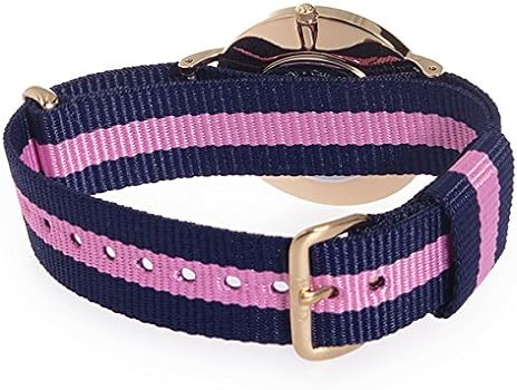 Daniel Wellington Classy Winchester White Dial Two Tone NATO Strap Watch For Women - DW00100077