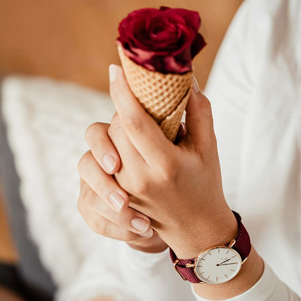 Daniel Wellington Classic Roselyn White Dial Red NATO Strap Watch For Women - DW00100271