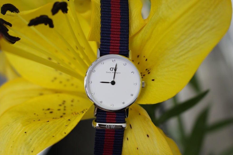 Daniel Wellington Classy Oxford White Dial Two Tone Nylon Strap Watch For Women - DW00100072