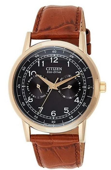 Citizen Eco Drive Multi Function Day & Date Black Dial Brown Leather S
