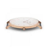 Daniel Wellington Classic Oxford White Dial Two Tone NATO Strap Watch For Men - DW00100001