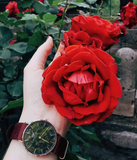 Daniel Wellington Classic Roselyn Black Dial Maroon Nylon Strap Watch For Women - DW00100273