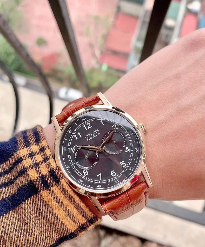 Citizen Eco Drive Multi Function Day & Date Black Dial Brown Leather Strap Watch For Men - AO9003-08E