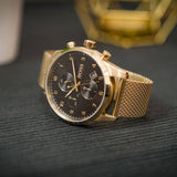 Hugo Boss Skymaster Black Dial Gold Mesh Bracelet Watch for Men - 1513838