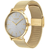 Coach Perry Silver Dial Gold Mesh Bracelet Watch for Women - 14503385