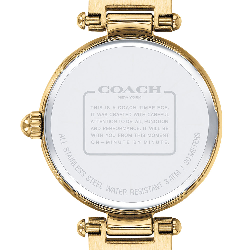 Coach Park Blue Dial Gold Steel Strap Watch for Women - 14503225