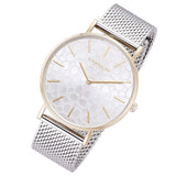 Coach Perry Silver Dial Silver Mesh Bracelet Watch for Women - 14503387