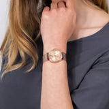 Tommy Hilfiger Lynn Quartz Rose Gold Dial Rose Gold Mesh Bracelet Watch For Women - 1781865