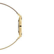 Daniel Wellington Classic Petite Evergold White Dial Gold Mesh Bracelet Watch For Women - DW00100346