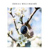 Daniel Wellington Classic Petite Melrose Black Dial Rose Gold Mesh Bracelet Watch For Women - DW00100217
