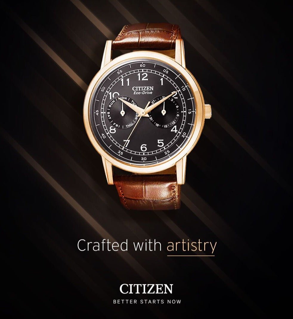 Citizen Eco Drive Multi Function Day & Date Black Dial Brown Leather S