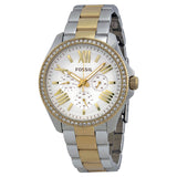 Fossil Cecile White Dial Two Tone Steel Strap Watch for Women - AM4543