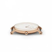 Daniel Wellington Classy Oxford White Dial Two Tone Nylon Strap Watch For Women - DW00100064
