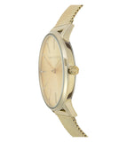 Armani Exchange Lola Analog Gold Dial Gold Mesh Strap Watch For Women - AX5536