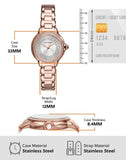 Emporio Armani Mia Three Hand Crystals Silver Dial Rose Gold Steel Strap Watch For Women - AR11633