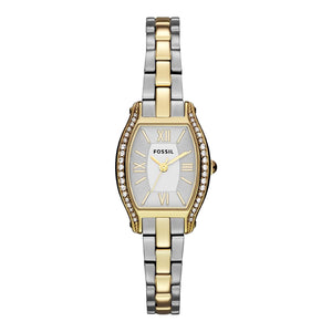 Fossil Molly Silver Dial Two Tone Steel Strap Watch for Women - ES3287