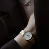 Daniel Wellington Classic Petite Evergold White Dial Gold Mesh Bracelet Watch For Women - DW00100346