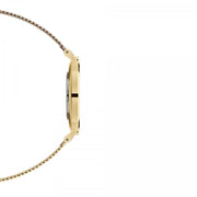Daniel Wellington Classic Petite Evergold Black Dial Gold Mesh Bracelet Watch For Women - DW00100349