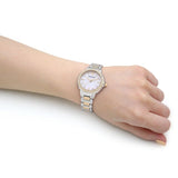 Emporio Armani Mia Quartz Mother of Pearl Dial Two Tone Steel Strap Watch For Women - AR11524