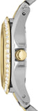 Fossil Riley White Dial Two Tone Steel Strap Watch for Women - ES3204