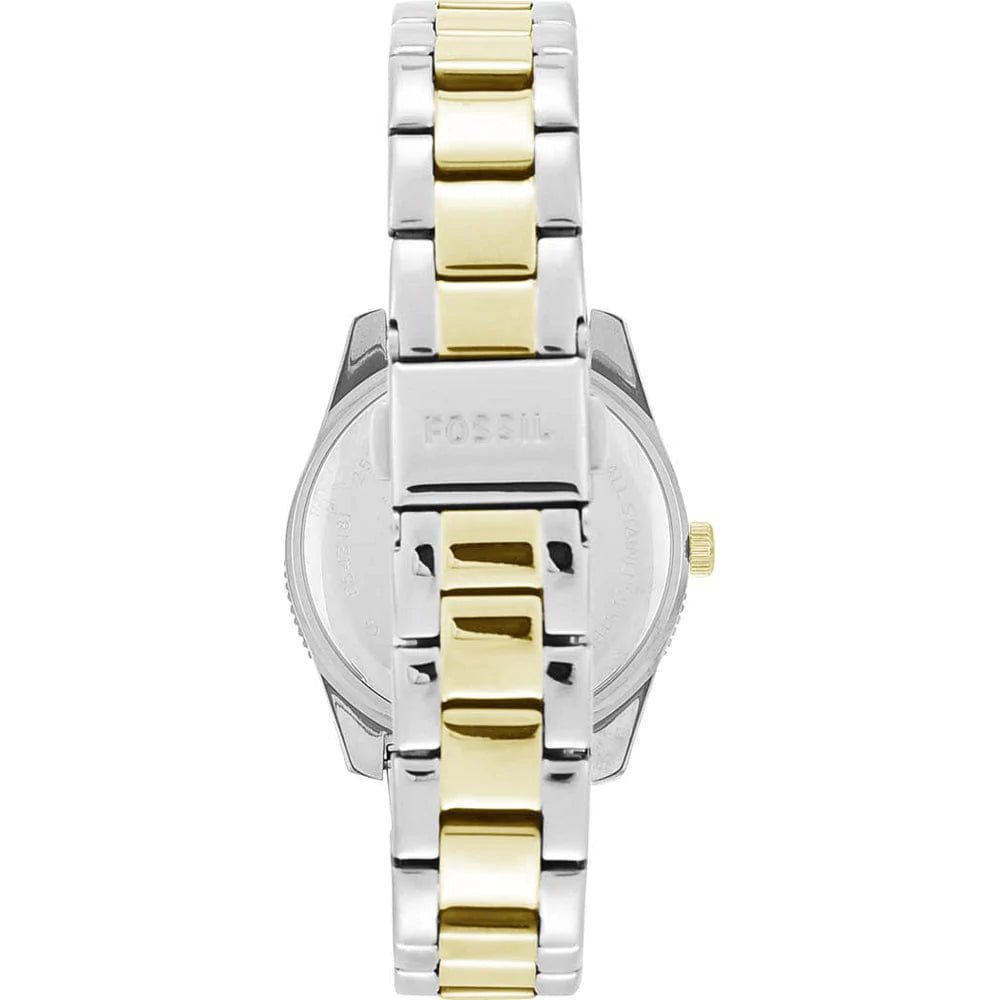 Steel Dial Two Fossil Riley Strap White Tone Women for Watch