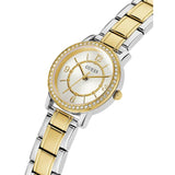 Fossil Virginia Silver Dial Two Tone Steel Strap Watch for Women - ES3503