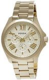 Fossil Cecile Multifunction Champagne Dial Gold Steel Strap Watch for Women - AM4510