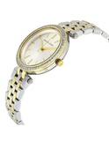 Michael Kors Darci Silver Dial Two Tone Steel Strap Watch for Women - MK3405