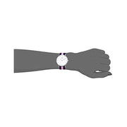Daniel Wellington Classy Winchester White Dial Two Tone NATO Strap Watch For Women - DW00100081