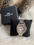 Coach Mini Boyfriend Diamonds Silver Dial Silver Steel Strap Watch for Women - 14501699