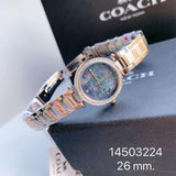 Coach Park Blue Dial Gold Steel Strap Watch for Women - 14503225