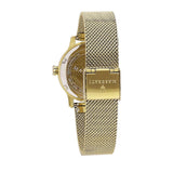 Maserati Epoca Mother of Pearl Dial Yellow Gold Mesh Strap Watch For Women - R8853118502